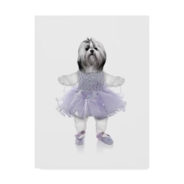 J Hovenstine Studios 'Ballet' Canvas Art, 14x19, Trademark Fine Art, Mfr#: ALI36879-C1419GG